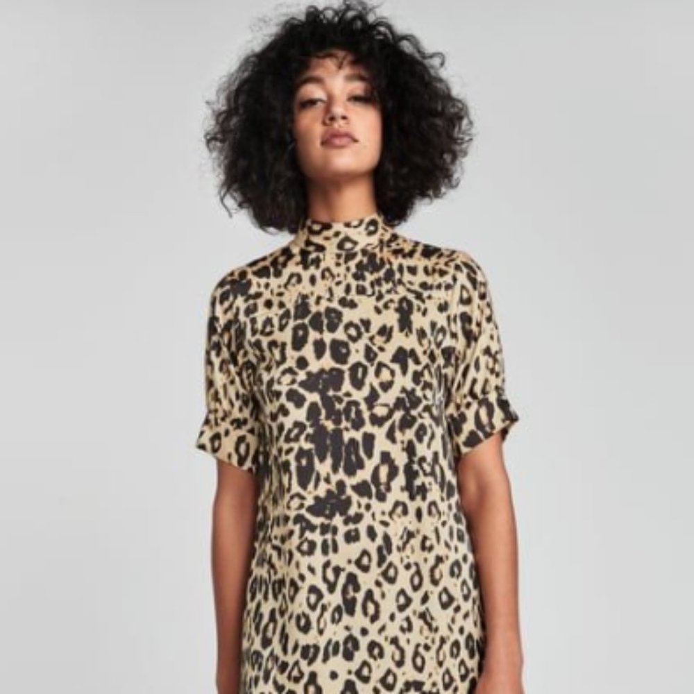 Zara Animal Print Tunic